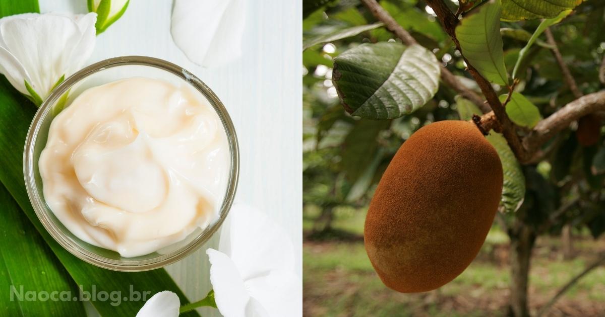 Sobremesas: Pavê de Cupuaçu: Descubra o Sabor Único Desta Fruta da Terra da Joelma!