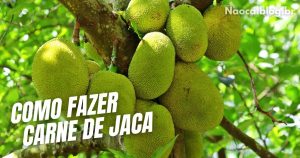 Como Fazer Carne de Jaca