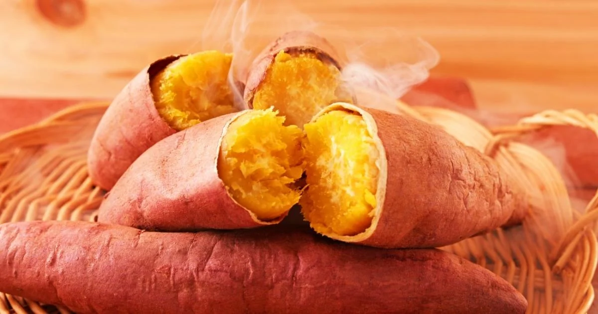 Air Fryer: Batata Doce na Airfryer