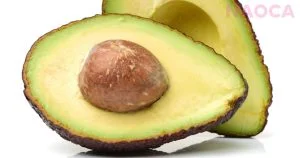 como fazer bolo de abacate