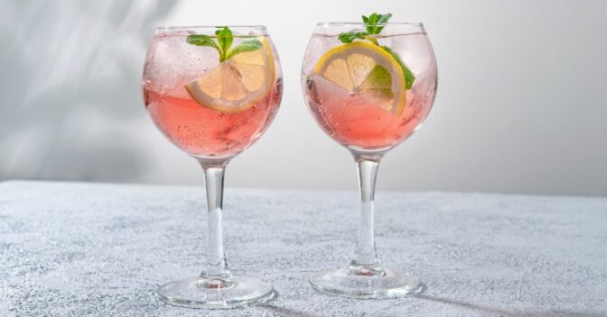 Bebidas: Receitas de Gin Tônica: Práticas e Saborosas