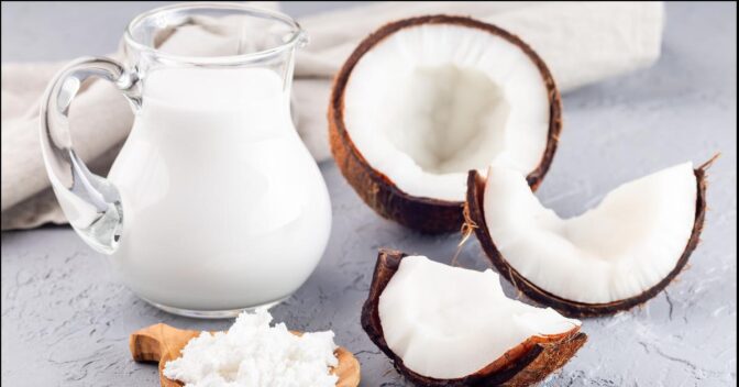 Vegetariano e Vegano: Leite de Coco Feito com a Polpa do Coco Verde: Descubra Como Preparar!