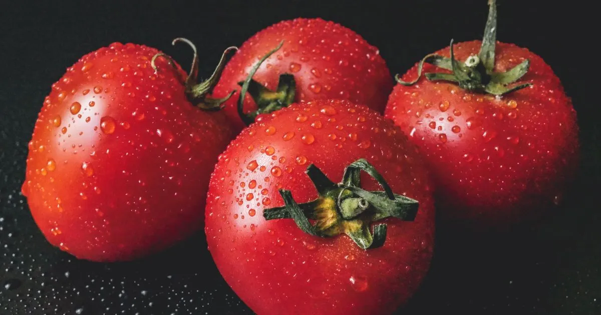 O tomate era considerado venenoso na Idade Média e hoje é um dos ingredientes mais...