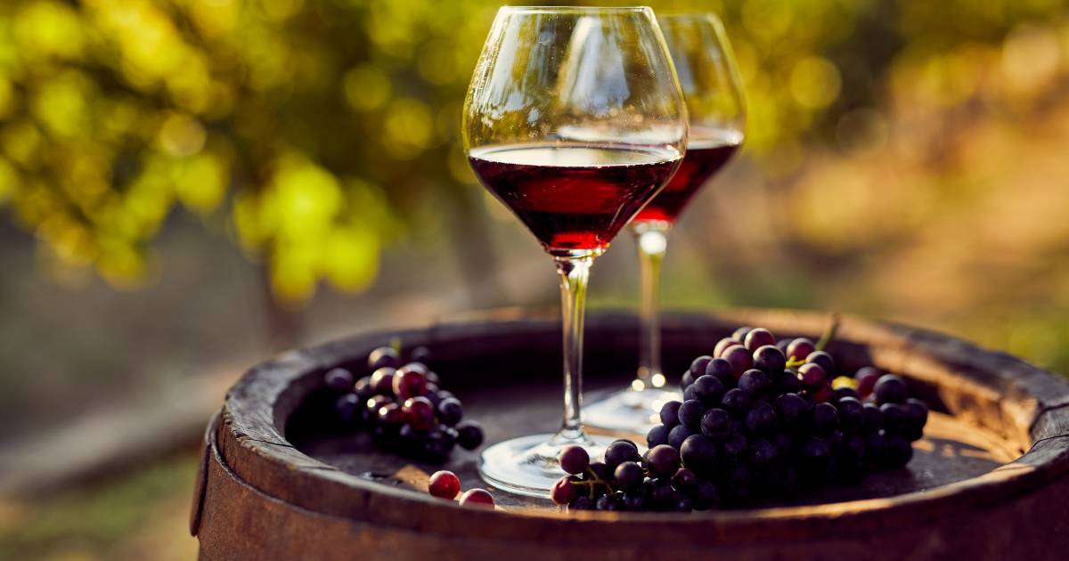 Vinho tinto benefícios para o coração