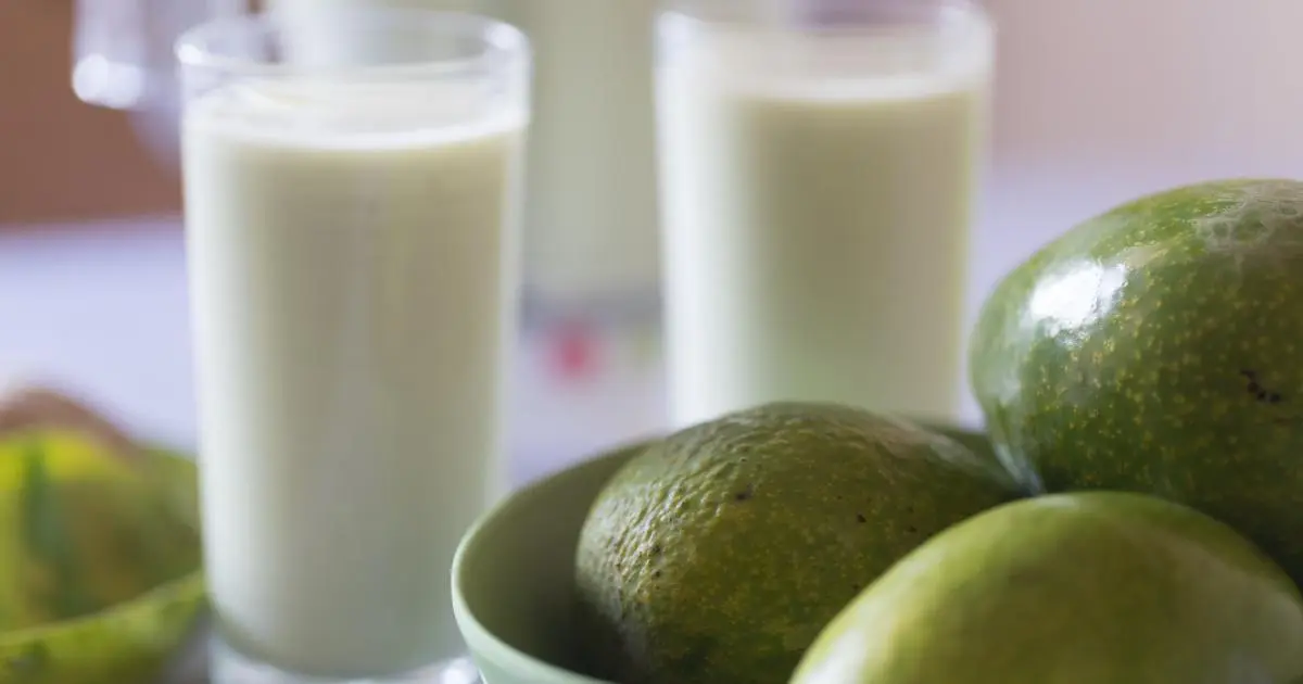 Uma vitamina de abacate com leite ninho rápida e perfeita para começar bem o dia!...