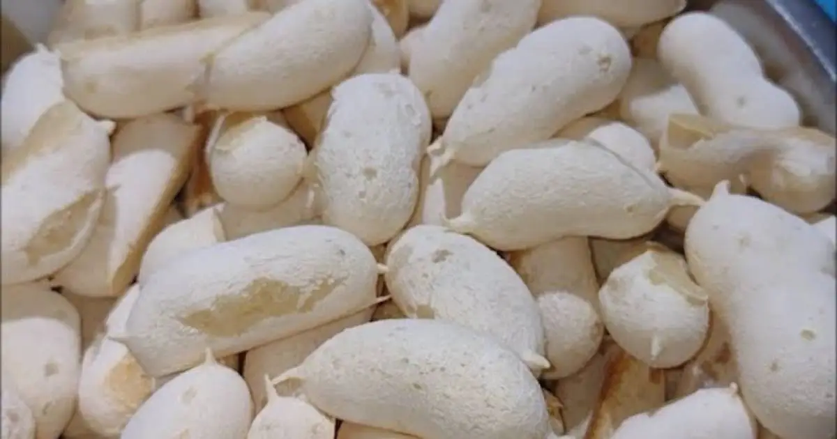 Biscoito de Polvilho Crocante Pronto em Minutos é uma receita fácil e deliciosa que derrete...