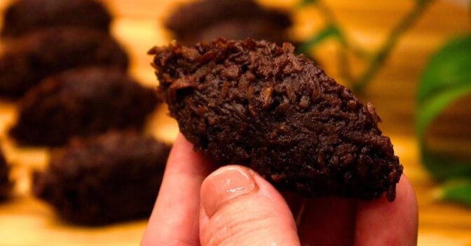 Doces: Você Nunca Imaginou Que Essa Cocada de Chocolate Fosse Sem Açúcar