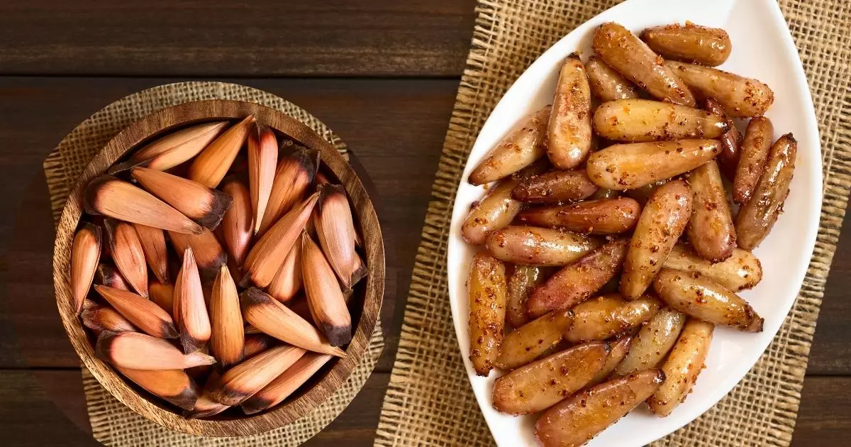 Air Fryer: Pinhão na Airfryer