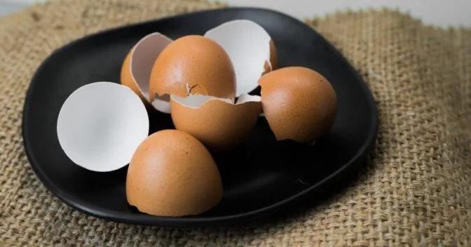 Dicas da Cozinha: Não Jogue Casca de Ovo Fora! Você tem um Tesouro Doméstico com 6 usos surpreendentes
