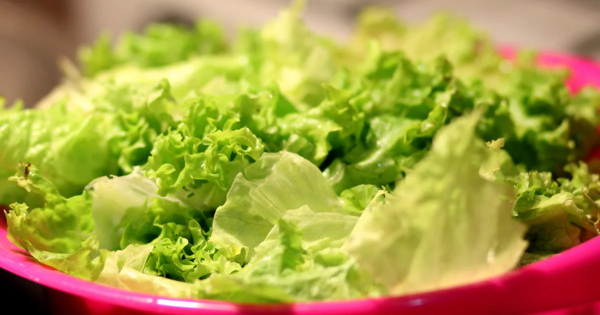 Aprenda a higienizar e armazenar alface e outras verduras corretamente para evitar desperdícios!...